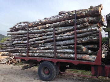 Acacia – 50-stere lastebil
